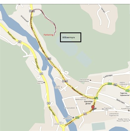 Veibeskrivelse
